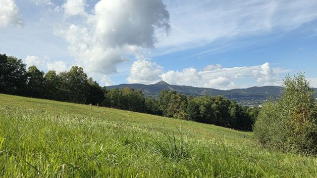 Grassy meadow sloping down to trees with hills and blue sky beyond.