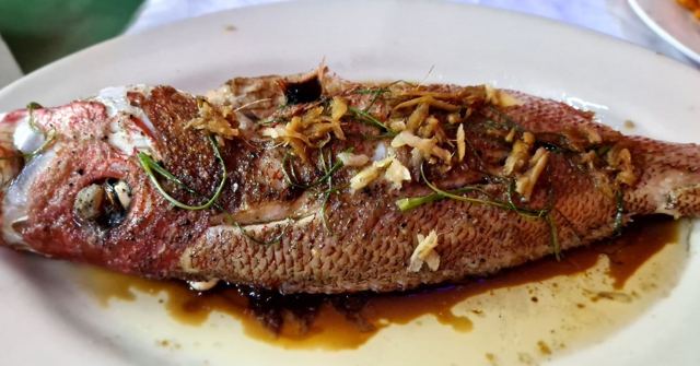 A whole grilled fish topped with onions and herbs on a white plate with dark sauce.