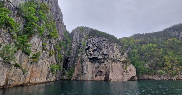 Steep grey rock cliffs with patches of green rising from dark fjord water under a cloudy sky.