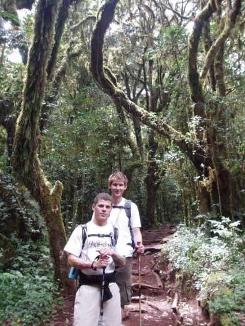 Two hikers on a path through moss-covered rainforest on the lower slopes of Kilimanjaro.