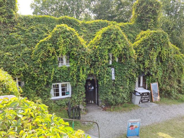 A stone cottage almost entirely covered in green ivy with a gravel path in front.
