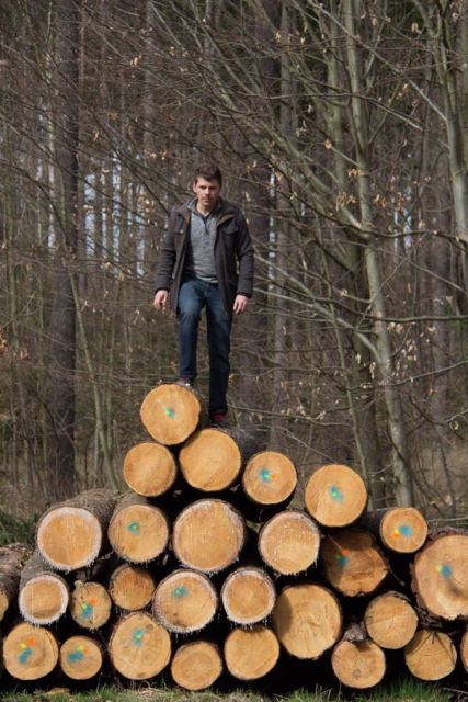 A man standing on top of a stack of cut logs in a pine forest.