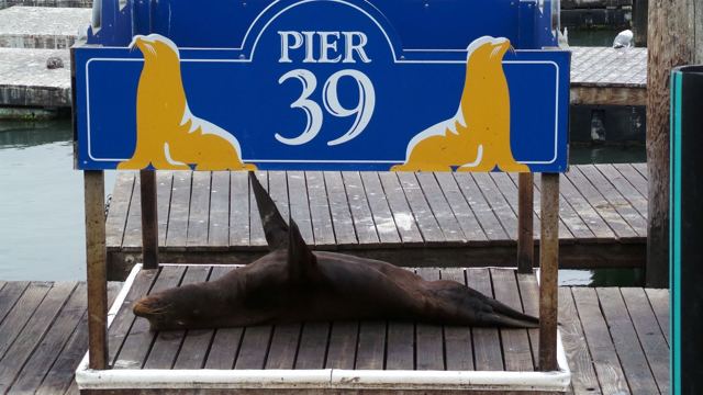 PIER 39, United States