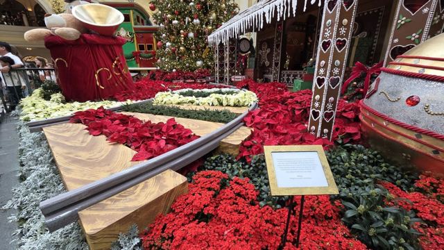 Indoor Christmas garden display with masses of red poinsettias, a model train track and festive decorations.