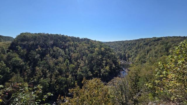 Panoramic view over a deep forested canyon under a clear blue sky.