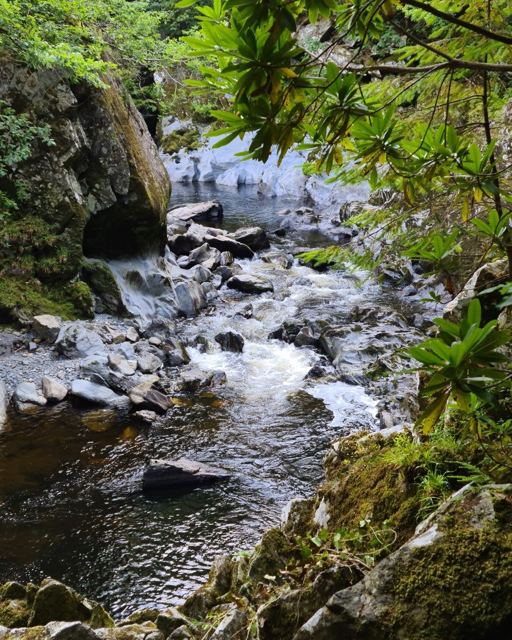 A rocky river gorge with rushing water, mossy boulders and green trees.