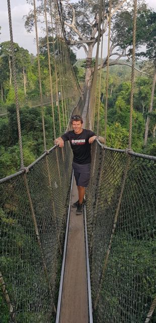 A man on a narrow rope canopy walkway high in the rainforest.