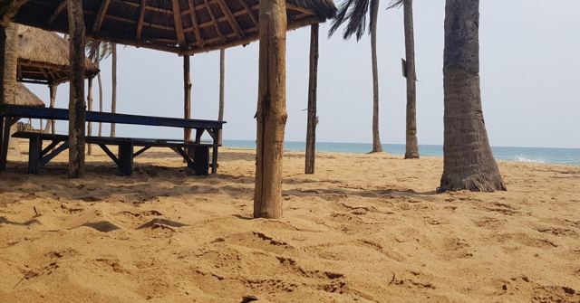A wooden thatched shelter on a sandy beach with palm trees and the sea.