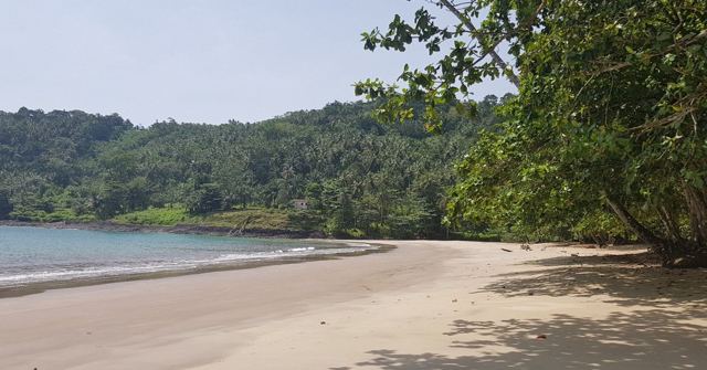 A deserted sandy beach curving beneath forested hills and overhanging trees.