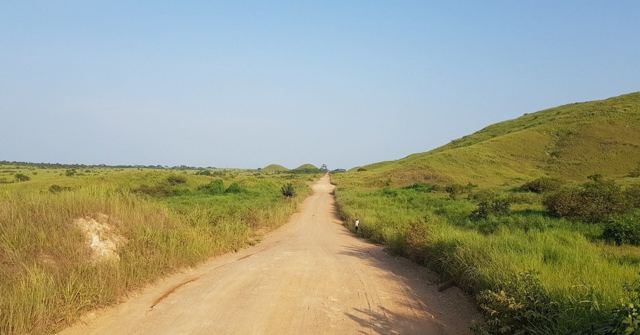 An empty sandy dirt road through green grassy hills under a clear sky.