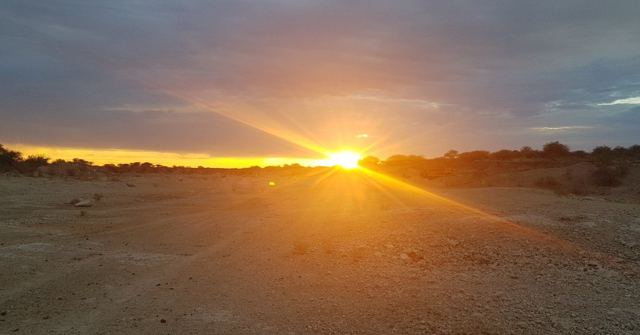 A golden sunset with sunbeams over a flat gravel plain.