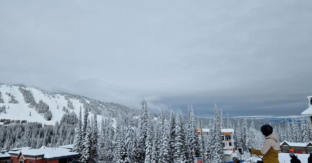 A snowy forest and ski runs on a mountainside under a heavy grey sky, with resort buildings below.