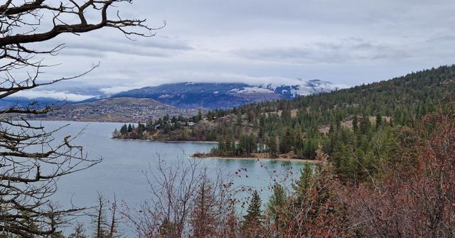 A wide lake with forested hills and snowy peaks beyond, framed by leafless branches.