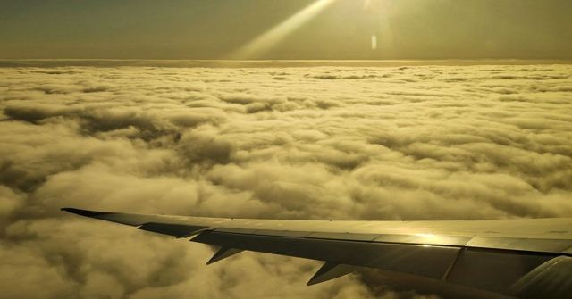 A golden sea of clouds stretching to the horizon below an aeroplane wing.