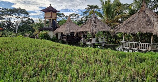 Traditional thatched-roof huts and a small tower above a green rice paddy surrounded by palms.