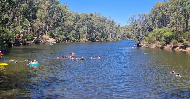 People floating on a calm river surrounded by tall eucalyptus forest on a sunny day.